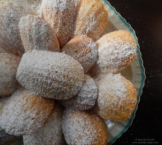 classic french madeleines